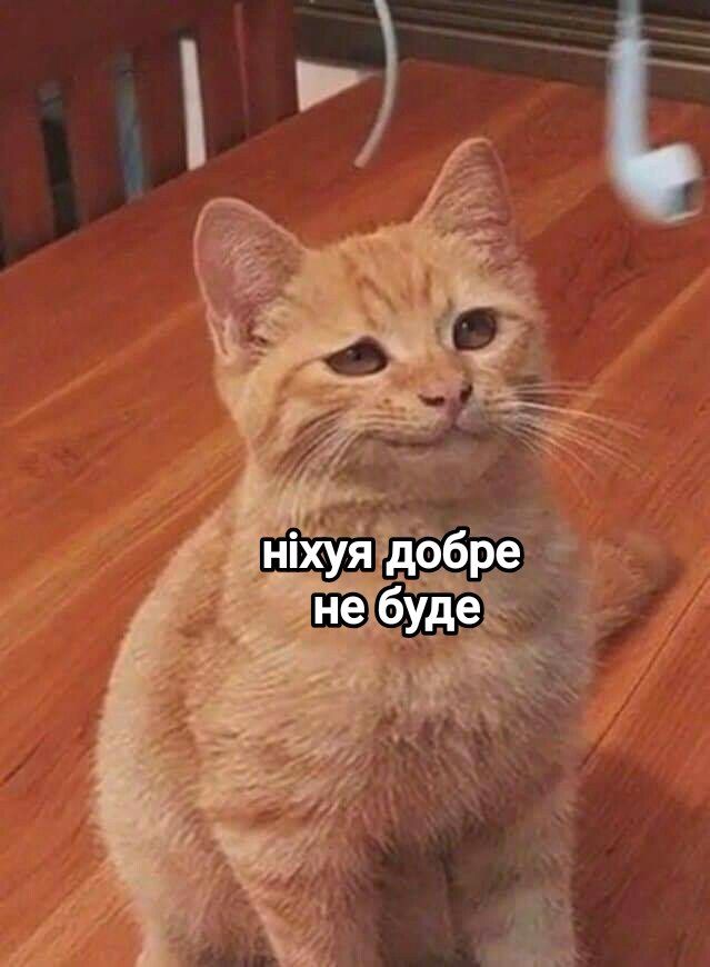 All_IsRelative's tweet photo. Це дійсно якесь містичне ім'я. Лише написавши його, закликали пана Положинського, Мату Харі, пані Ханну, відкрили портал в пекло і збурили людей. 

Ті Руслани якісь неблагополучні. Однокласник був Руслан - повісився, другий Руслан теж в школі був, старший за мене. Пішов на русняве телебачення. 

Коротше, краще Русланами нікого не називати і в голос це ім'я не казати.