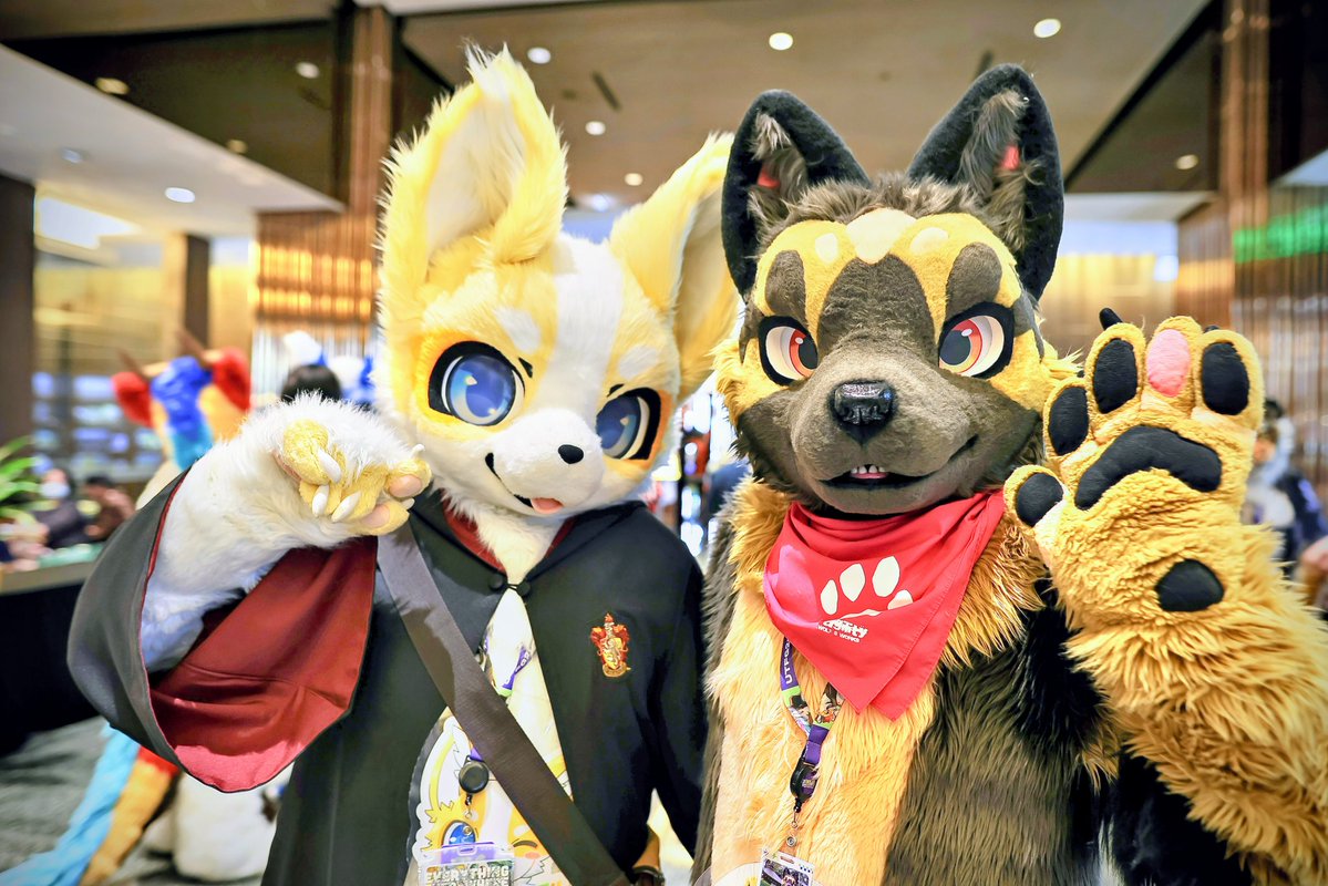 紀州の関東人(Kisyu)/キセノン Xenon 🐕‍🦺→OFFF tweet media