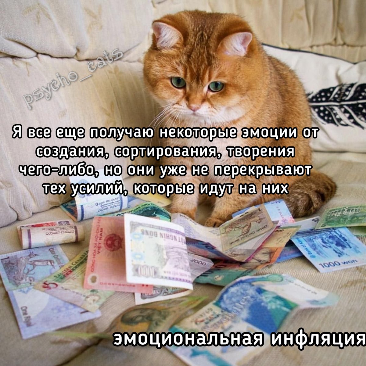 psycho__cats's tweet photo. https://t.co/UWIdqd3Gb1