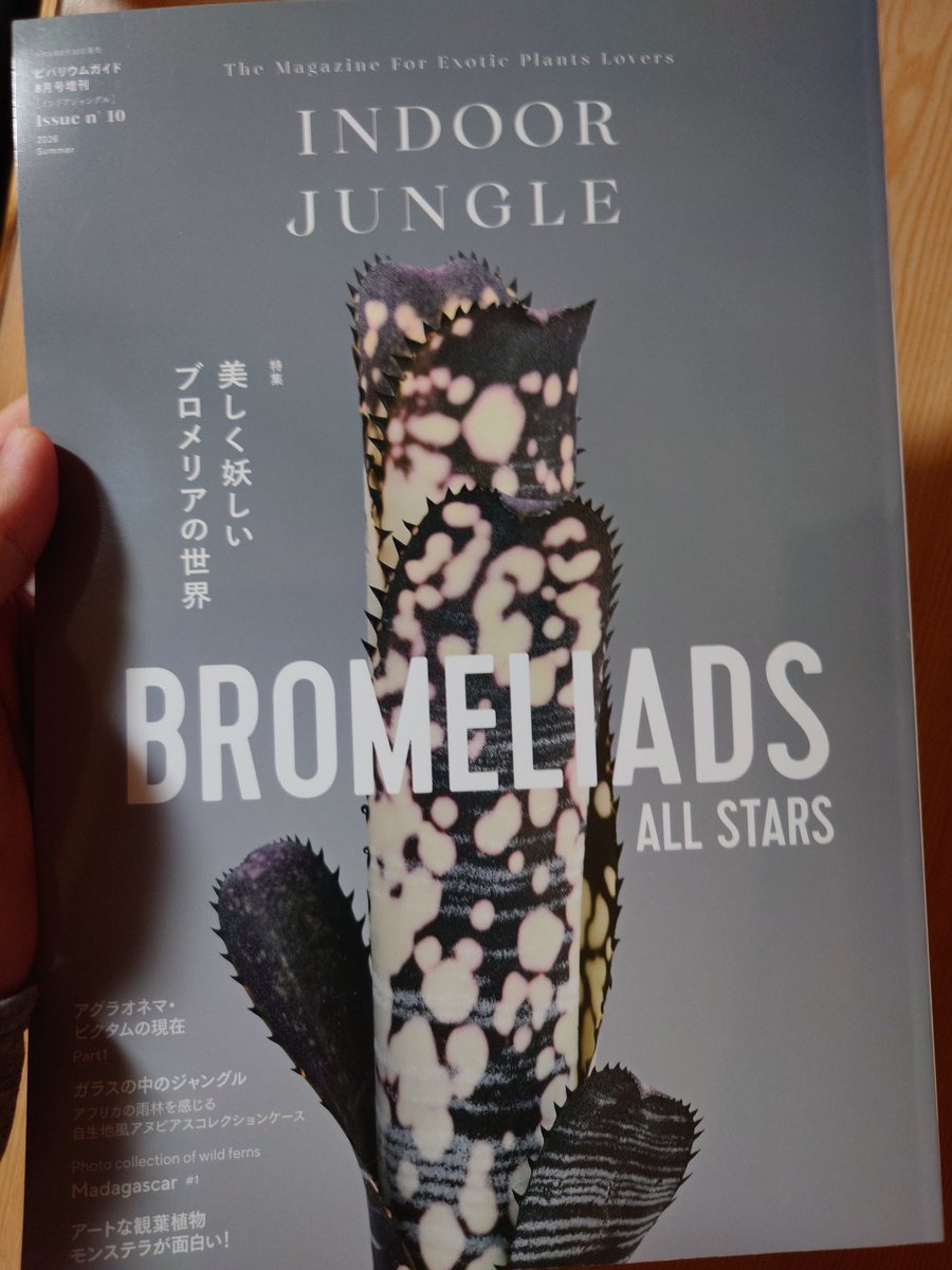 wardii393's tweet photo. 遅ればせながらエロ本を購入 https://t.co/FbDF9skkiE