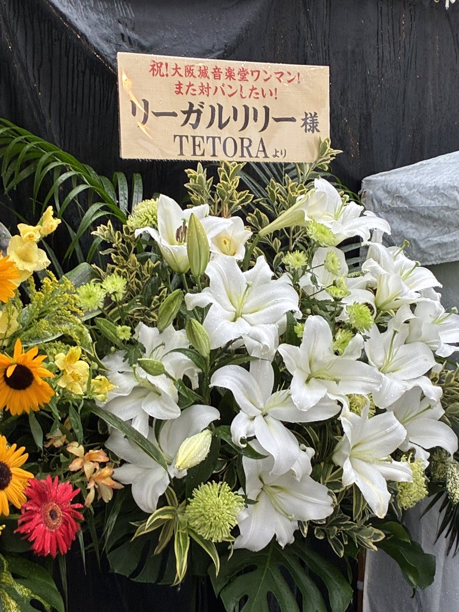 skylock_sky's tweet photo. 2026.7.5 
リーガルリリー 「mid summer」
大阪野外音楽堂

雨の野外音楽堂。
一曲目の「うつくしいひと」のイントロから自然と涙が溢れた
曲が始まると同時に小雨になったり、それも相まって美しかった

音も言葉も演出も音楽の良さの全てを感じることができる日だった

この日をわすれることはない https://t.co/dVMkH8LqT3