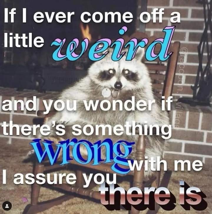 hourly_shitpost's tweet photo. https://t.co/jFe7VNIxUP