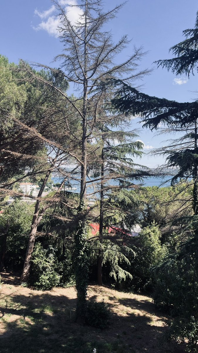 sadece1duman's tweet photo. bizim kafayı dinlemek için geldiğimiz mekanlar... https://t.co/zg1OyuMVj6
