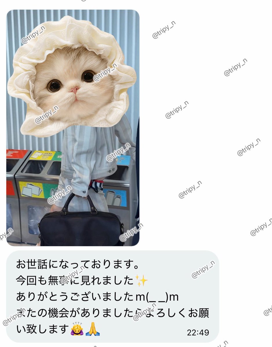 tripy_n's tweet photo. https://t.co/qqkvE3XZBs