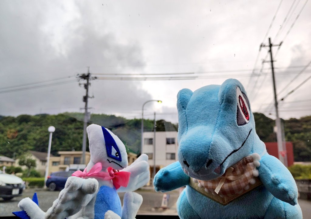 rapitwi's tweet photo. ゆきまんちゃんに遊んでいただきました！🐊

販売員さんのごとく怒濤の推しでお迎えしちゃった🐲🐊
おめかしリボンと、ナプキンをちゃちゃっと装着してもらって、世界で1匹だけのポケモンに…！🎀
ぬいぐるみマイスター恐るべし🤔 https://t.co/HfYwXP7RU9
