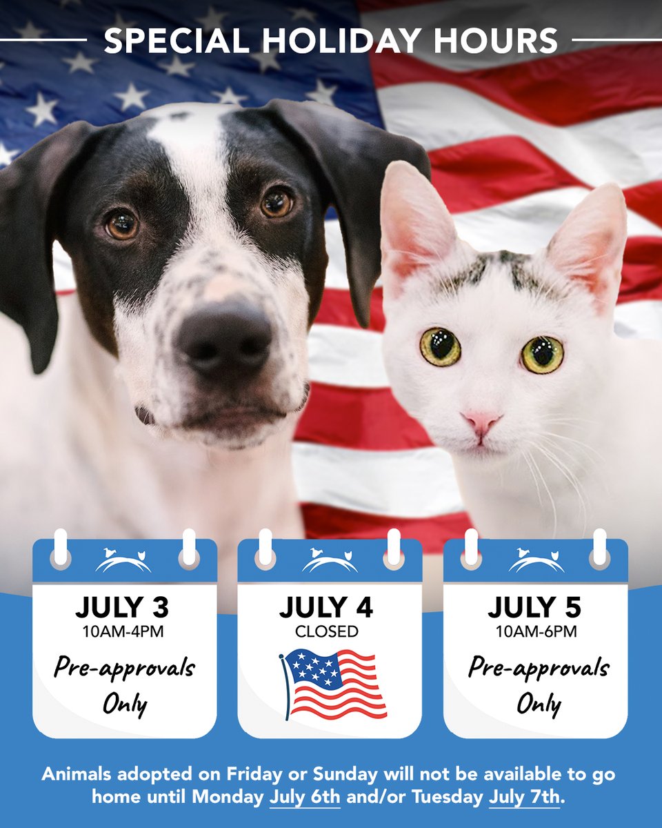 AnimalLeague's tweet photo. 🎆 We love Fourth of July fireworks...but our furry friends? Not so much. 🐾

We want every adoption to start on the right paw, so we're making a small change to our adoption schedule this holiday weekend to help set our animals up for a smooth, safe transition into their new homes.

🐾 Holiday Adoption Schedule 🐾
📅 July 3 | 10 AM – 4 PM
✔️ Meet adoptable animals
✔️ Complete pre-approvals
❌ No same-day take-home adoptions

🇺🇸 July 4
Closed

📅 July 5 | 10 AM – 6 PM
✔️ Meet adoptable animals
✔️ Complete pre-approvals
❌ No same-day take-home adoptions

If you're approved on July 3 or July 5, you'll be able to return to finalize your adoption and bring your new best friend home on Monday, July 6, or Tuesday, July 7, after the holiday festivities have passed.

Thank you for understanding as we put the wellbeing of our animals first. We can't wait to help you find your new best friend and give them the calm, happy homecoming they deserve. ❤️🐶🐱