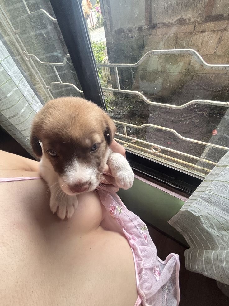 NyraLive2002's tweet photo. My cute little baby 🥰💕 https://t.co/3CUnNA5IUC