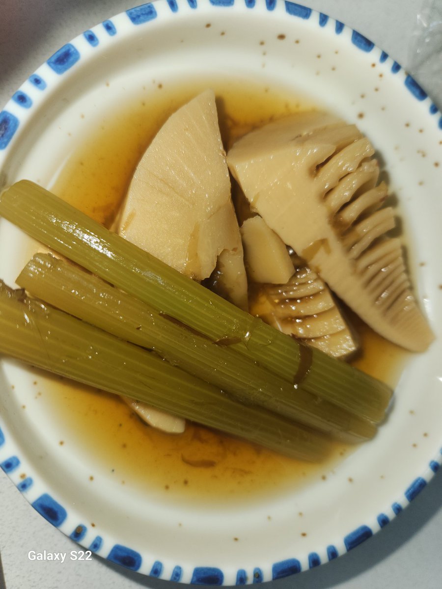 seika2254's tweet photo. ■豚肉と茄子のにんにくトマト煮込み■水煮たけのこと水煮フキの煮物、そして、大好物のオーロラサーモンの刺身、今日もご馳走上手かったぜぇ https://t.co/TNQ7bXiV8f