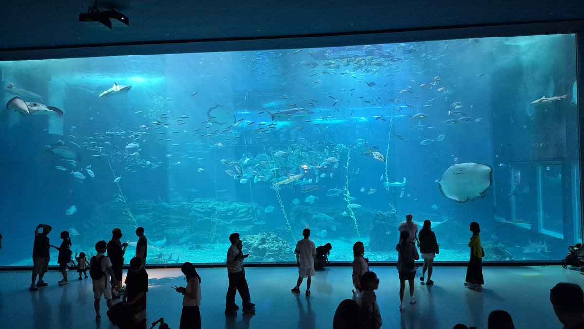 Coleby1233's tweet photo. 2일차 - 3 https://t.co/rOfm6r7yM3