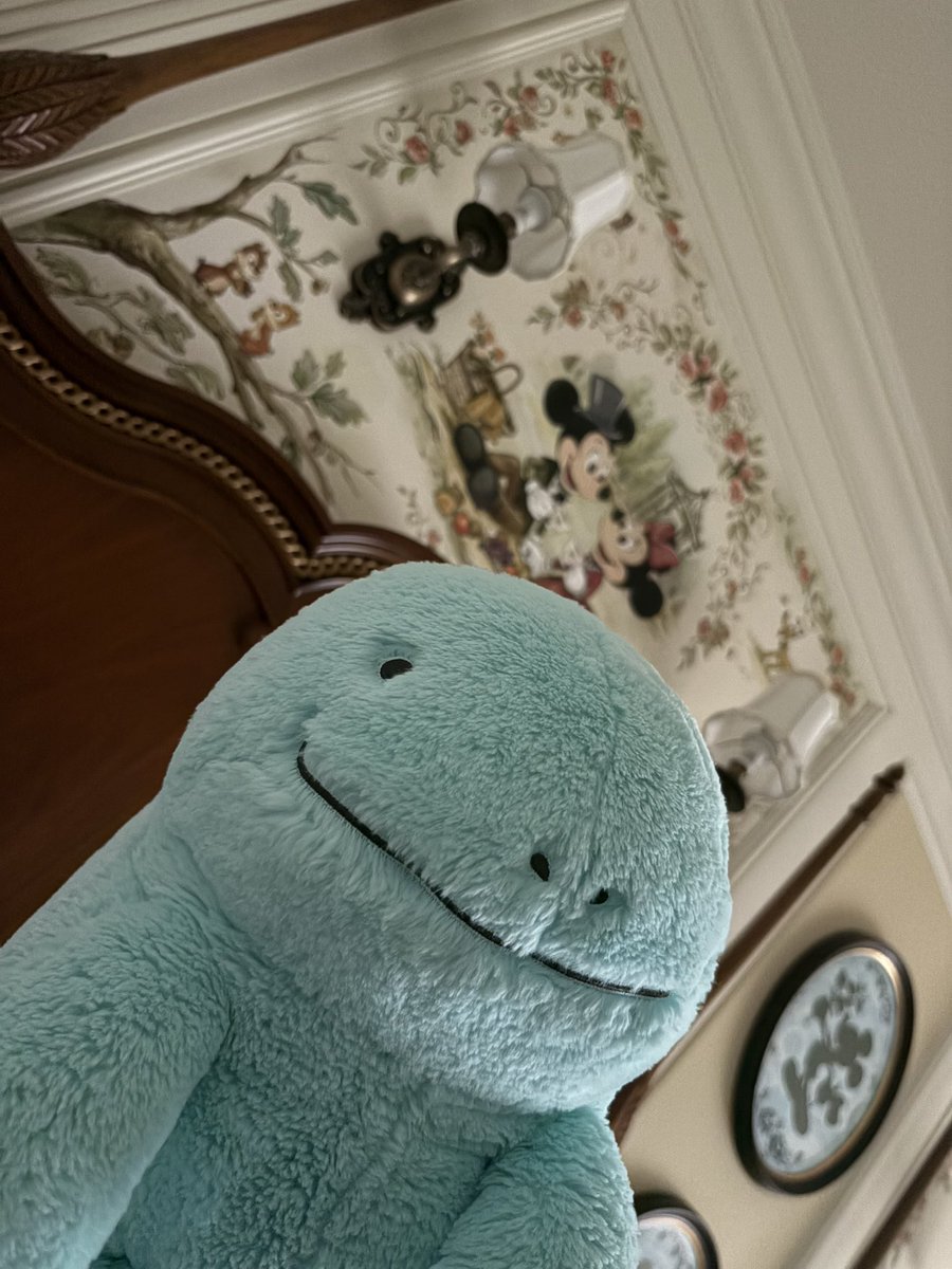 nuo_tane's tweet photo. 明日のディズニー楽しみだぬ
鏡よ鏡世界で1番可愛いのは誰だぬ？ https://t.co/U8cXhbpCFy
