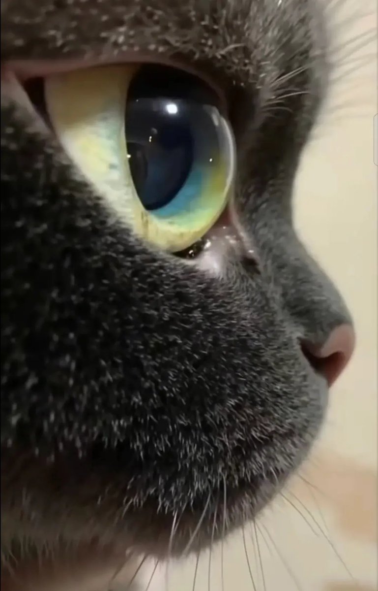 artindetails's tweet photo. feels like staring into the deepest part of the ocean https://t.co/Z2BgHFBso2
