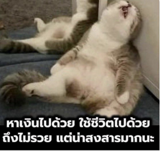 godspeed49's tweet photo. สภาพ: แบต 2% https://t.co/ZdlSbFlcGA