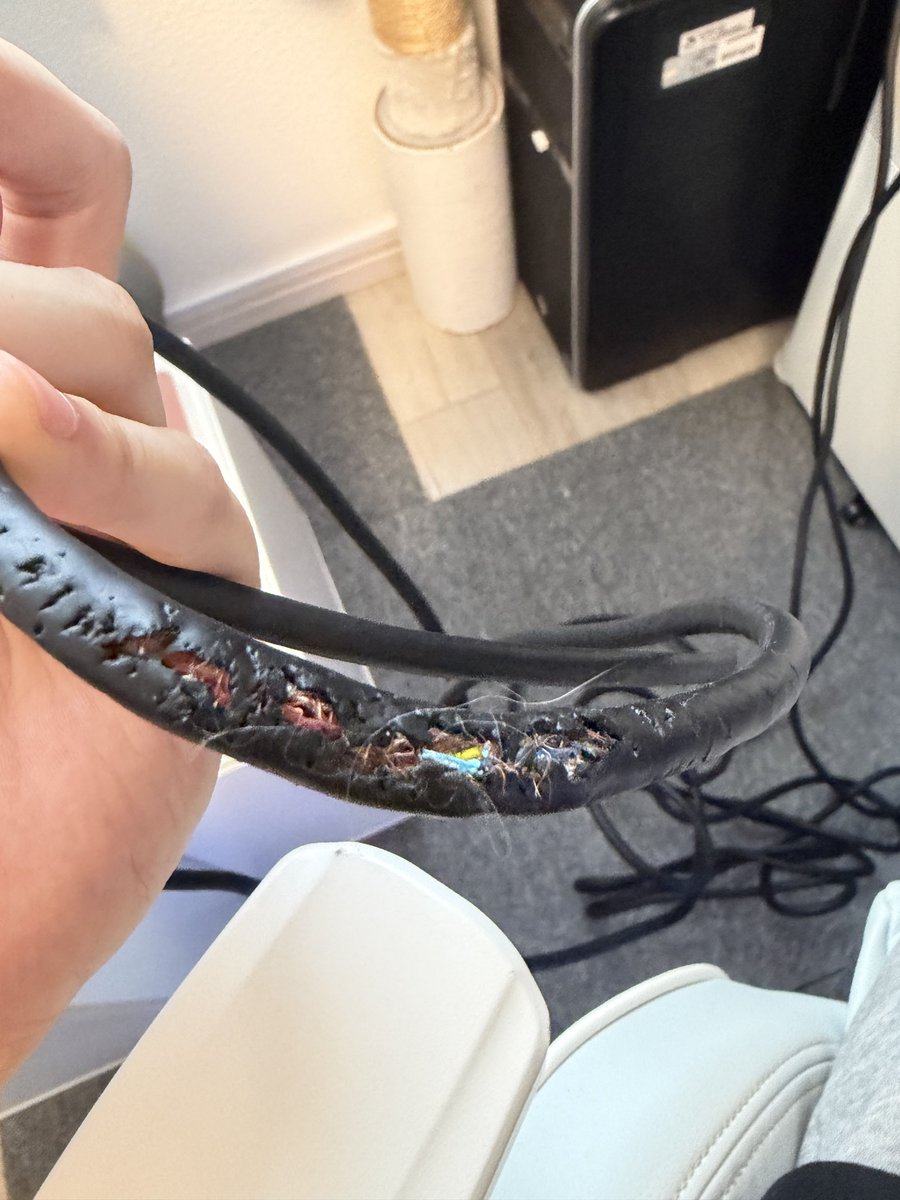 ymd_dis's tweet photo. 😭 https://t.co/3W5DV7as2c