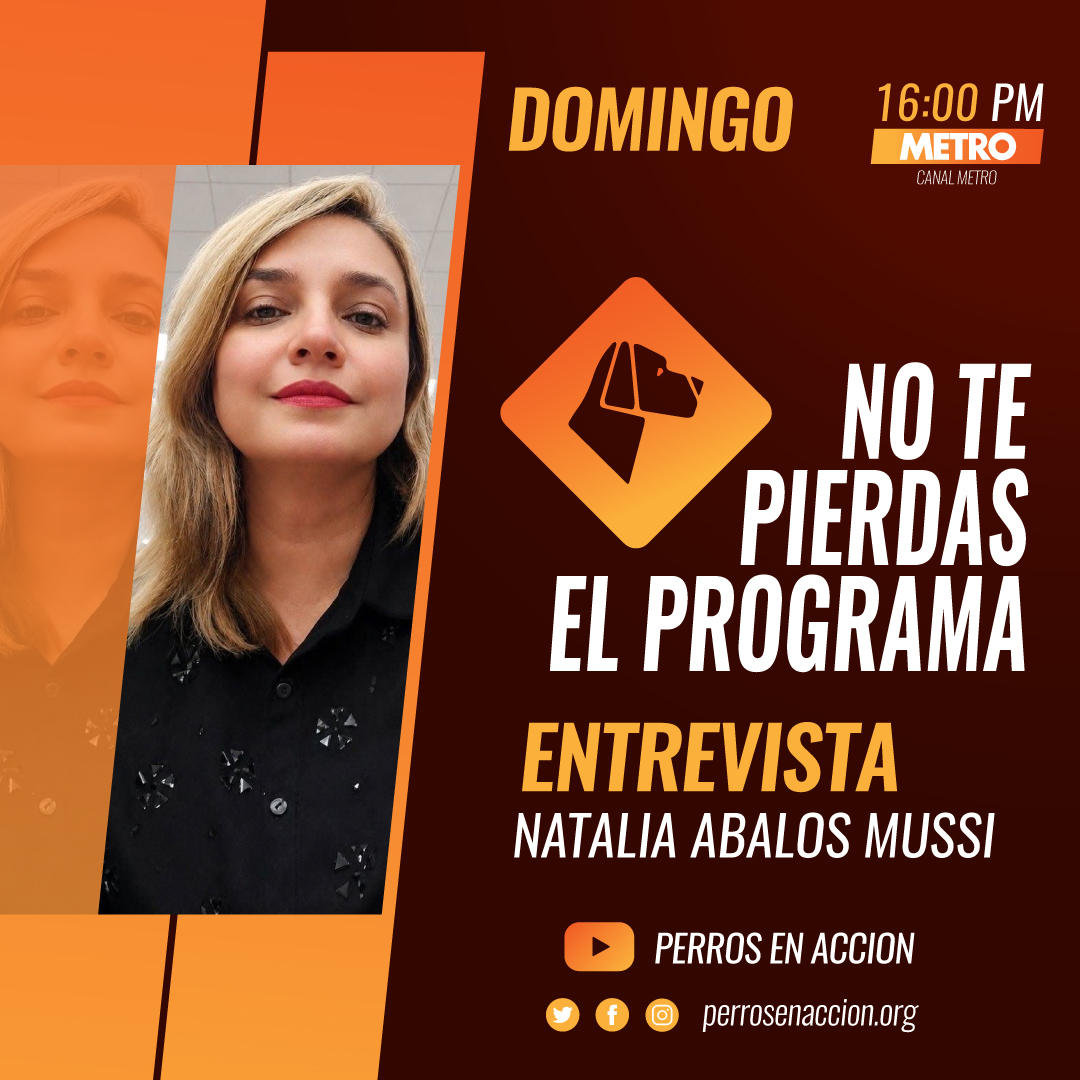 Perros_EnAccion's tweet photo. @Perros_EnAccion TV
DOMINGO 16.00 hs. por METRO
ENTREVISTA
Natalia Abalos Mussi
#PerrosEnAcción
#AlejandroMurzone
#Perros
#Exposiciones
#ProgramaDeTV
#Metro
#NataliaAbalosMussi
#Shalaco
#Maltés
#CanicheToy
Más Perros en acción en https://t.co/ZzZHvsTfds https://t.co/BJ5v5YW9lE