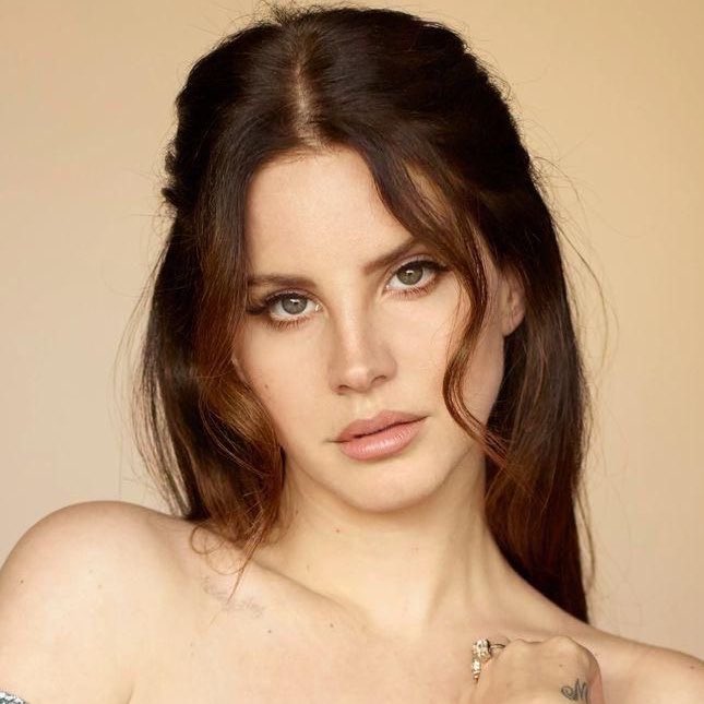 updatecultura's tweet photo. Lana Del Rey curtiu post de Dandara Pocket, TikToker brasileira, no Instagram. https://t.co/BAbZbWA9x8