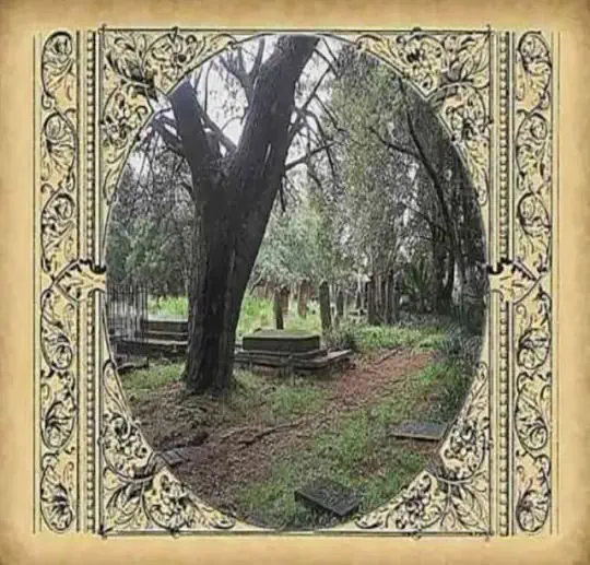 heartmorgue's tweet photo. https://t.co/nRJVGPBXDC