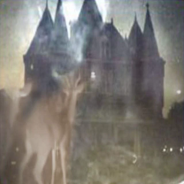 heartmorgue's tweet photo. https://t.co/nRJVGPBXDC