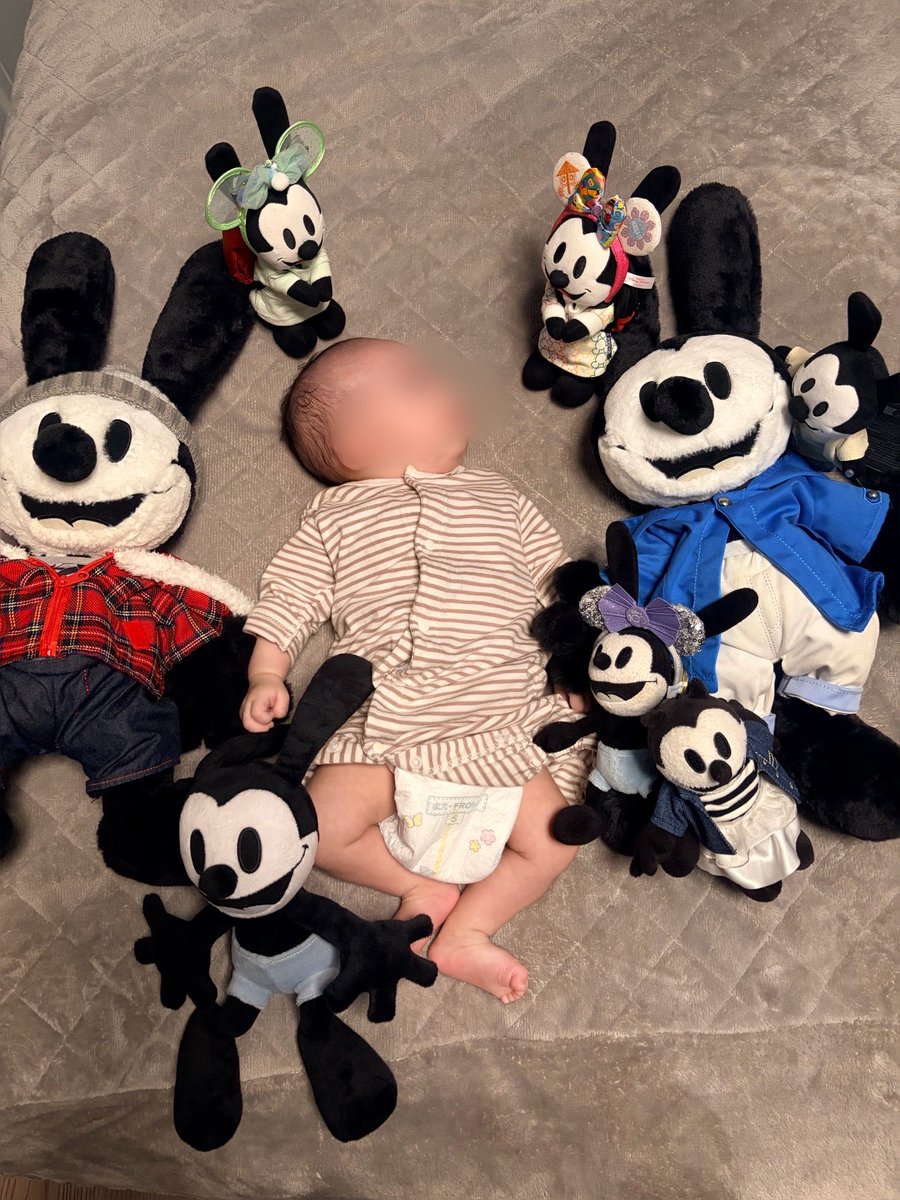 hitobon0816's tweet photo. オズワルド✨
スクリーンデビューまで
あと２ヶ月‼️‼️

ここ最近、低浮上の理由はこちら💁‍♀️

Instagramで繋がってる人や妊娠中に直接お会いした方には話していましたが……

この度、わたくしぼん。は、
子ぼん。誕生日🎂により、母になりました🫡

なので、今年のオズ誕はインパ厳しそうです🥺 https://t.co/RFVuQlg59W