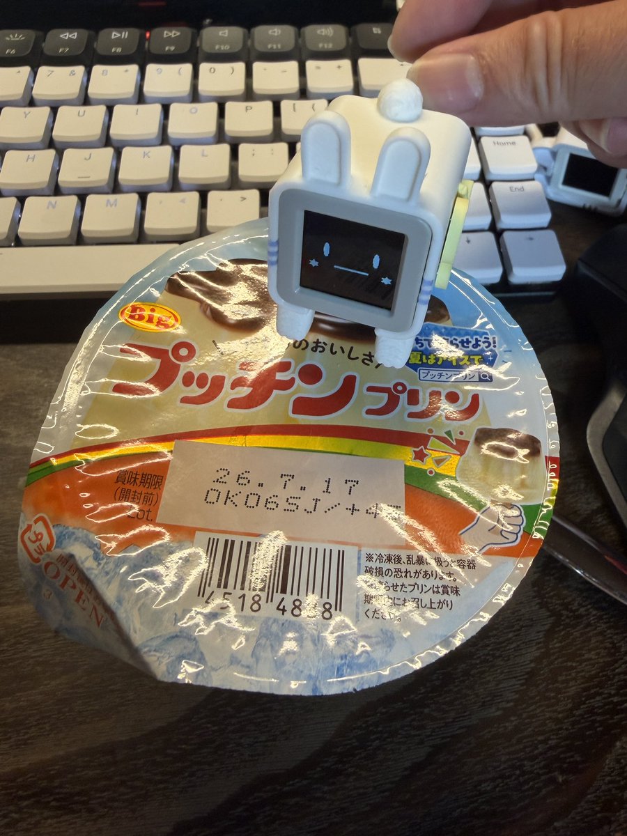 プリン ★ プリンを見守っている👀