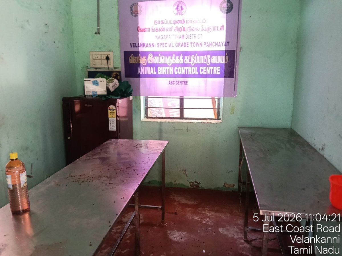 SushmaMenon3's tweet photo. Shocking state of ABC execution in Velankanni, Nagapattinam district! Hurried setups with zero infrastructure, no post-op shelter, and dogs dumped with no food/water. After local alerts, it's temporarily suspended.
Last year, ₹64L was sanctioned to multiple local bodies for https://t.co/FJymmPSTDi