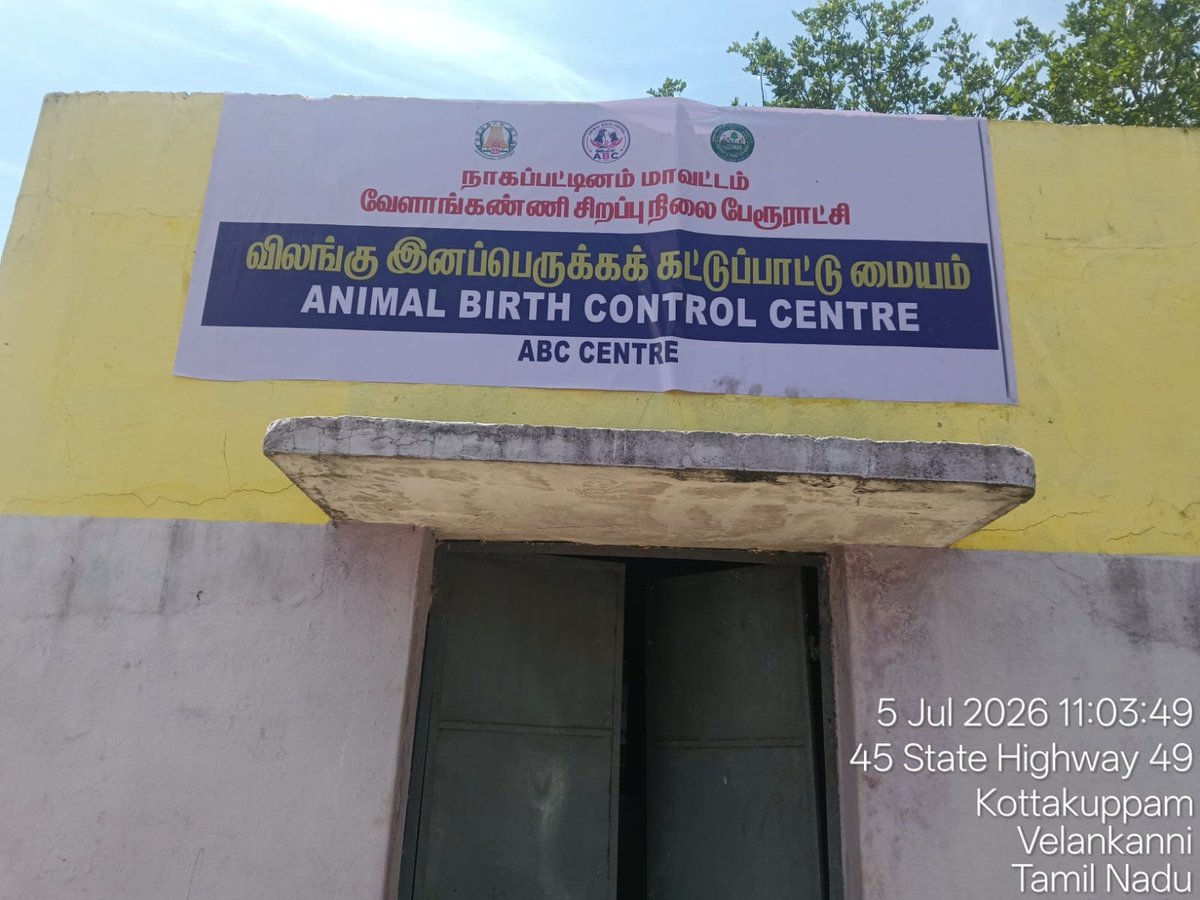 SushmaMenon3's tweet photo. Shocking state of ABC execution in Velankanni, Nagapattinam district! Hurried setups with zero infrastructure, no post-op shelter, and dogs dumped with no food/water. After local alerts, it's temporarily suspended.
Last year, ₹64L was sanctioned to multiple local bodies for https://t.co/FJymmPSTDi