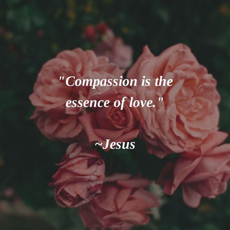 brchris8's tweet photo. Good morning!

Happy Lord’s Day!
Take the love of the Love,
Praise Him and share that
Love to everyone!
Have a beautiful day!
Peace and love. https://t.co/XAzyJMmGqs