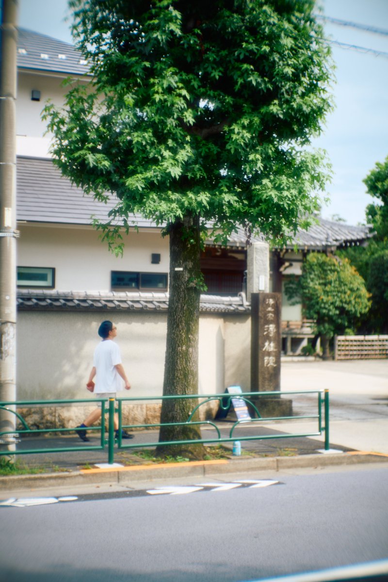 KannistoJuha's tweet photo. Yesterday I walked around Nakameguro &amp; enjoyed shooting with my Sony #A7CII &amp; #MSOptics #Elnomaxim 55/1.2 (using AF adapter LM-EA9). Mostly shot wide open where this lens has very nice soft focus rendering. There were some small moments of sunshine. More: https://t.co/3T5lno2r0U https://t.co/pqSdWBe2uG
