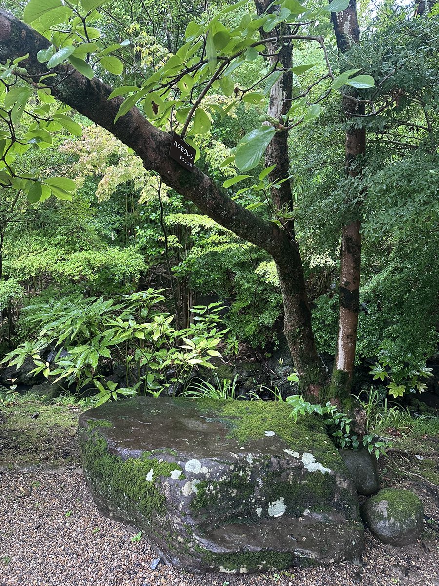 dieBiene2022's tweet photo. 雨の大山崎山荘美術館。
雰囲気も建築も展示も全てよし。
民藝企画でたくさんの焼き物を見て、どんな料理をよそうか考えてたらお腹が空いてきた。 https://t.co/nch0O7u0BW