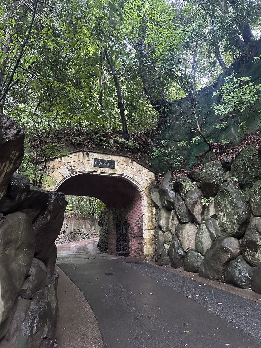 dieBiene2022's tweet photo. 雨の大山崎山荘美術館。
雰囲気も建築も展示も全てよし。
民藝企画でたくさんの焼き物を見て、どんな料理をよそうか考えてたらお腹が空いてきた。 https://t.co/nch0O7u0BW