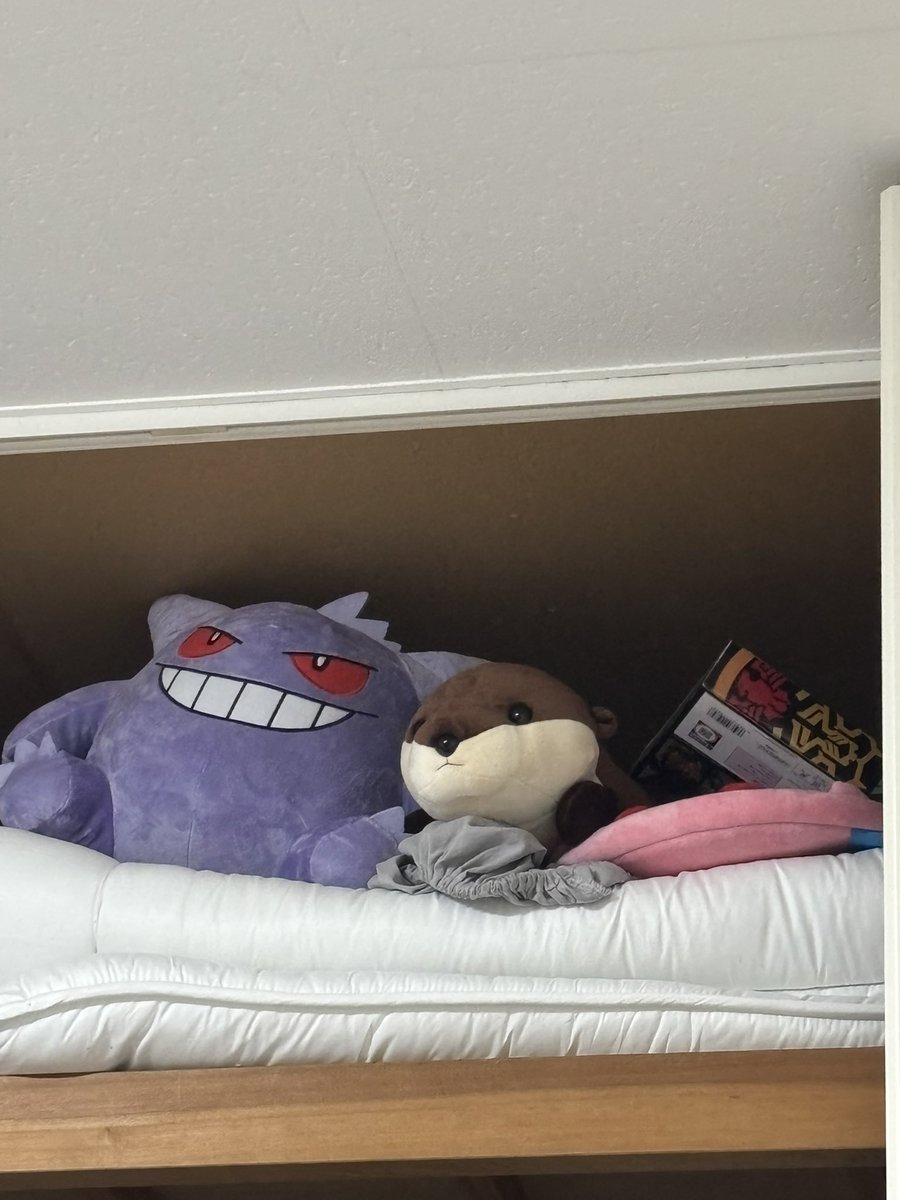 topiaYukichi's tweet photo. かわいいが居る https://t.co/HuxMONzYNU