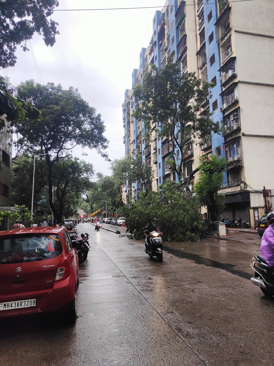 _ManUtd_fc_'s tweet photo. The current situation in Mumbai is crazzyyy. Roads of Sion, Matunga and Dadar all have insane amount of tree branches on the road, higher than even the 2020 cyclone. People on the streets are visibly afraid &amp; looking up like every tree might fall on them. Scarryyyy. @mybmc https://t.co/Grdltv1uJT