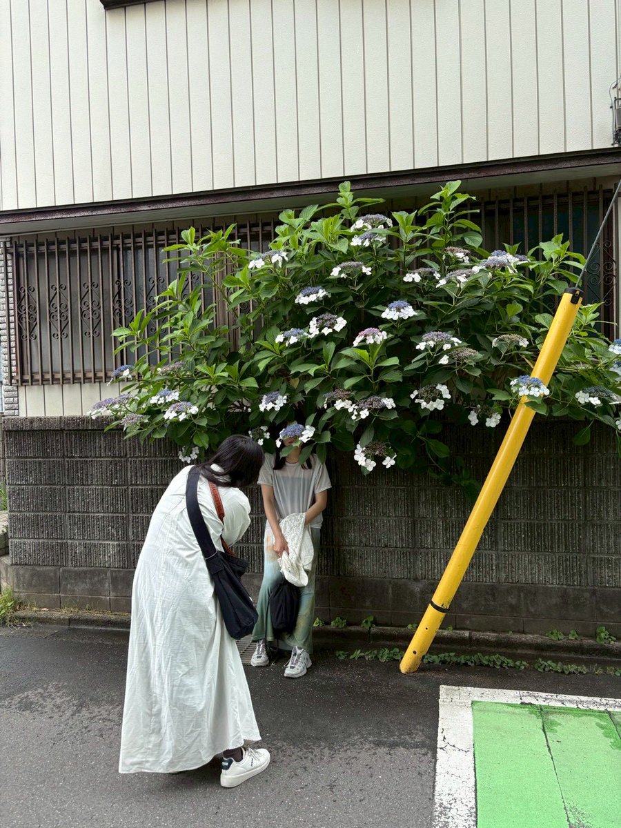 nunnoma's tweet photo. そこへ行くために川越に大好きなカフェができた
1階はカフェと併設でアンティーク小物などの販売、2階は古家具が売られ、空間がおしゃれ
何より本当にパフェが美味しかった
上のアイスも手作りで、真ん中にはグラノーラやケーキが入っていた
ささっている塩気のあるビスケットの甘さとのバランスも良い https://t.co/0PqkT1JPmA