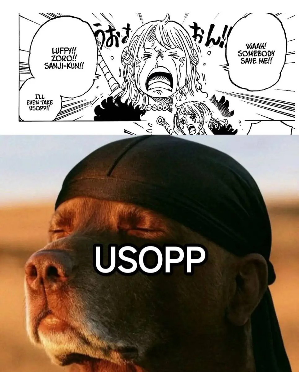 Kunagnes1's tweet photo. Usopp 😂 https://t.co/6SoTc7f4Y8