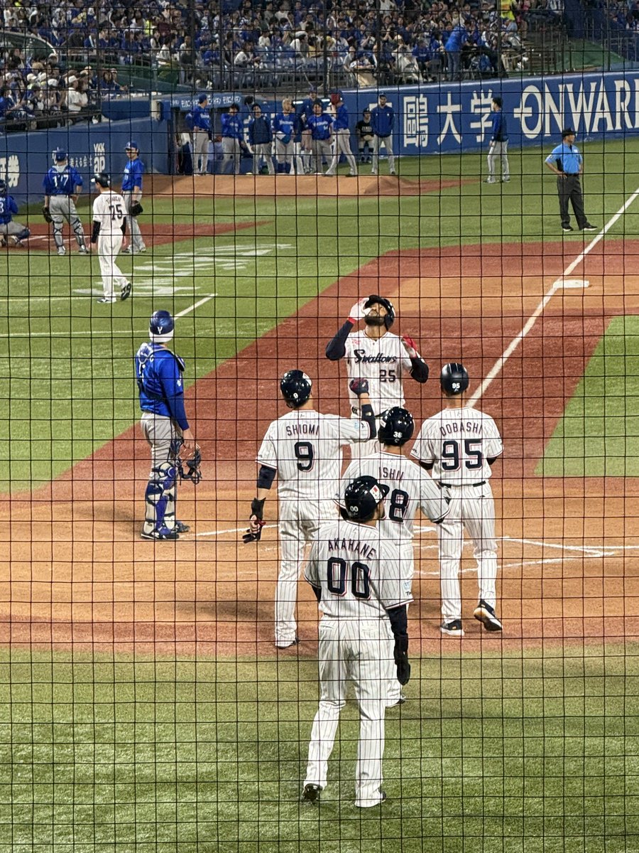 NovTree's tweet photo. ミンゴちゃんのグラスラは痺れた！！⚾️✨
この時のBGMはプロニューの「今日のホームラン」だったな〜 https://t.co/blni0jn3Al