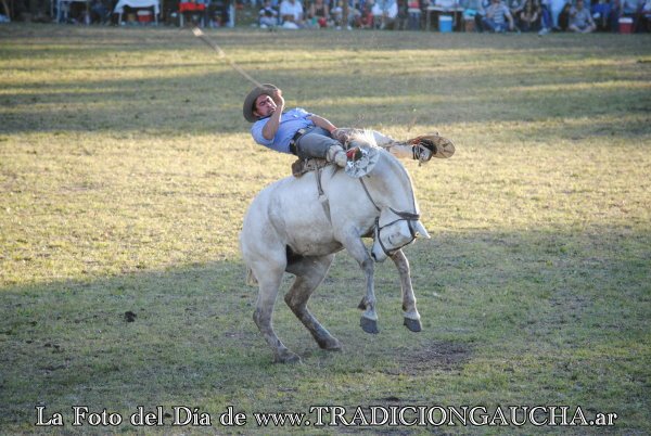 tradiciongaucha's tweet photo. 📸 #FotoDelDía #Jineteada #Tradición
https://t.co/JAtNwCT7Na https://t.co/4nNUOiJv1p