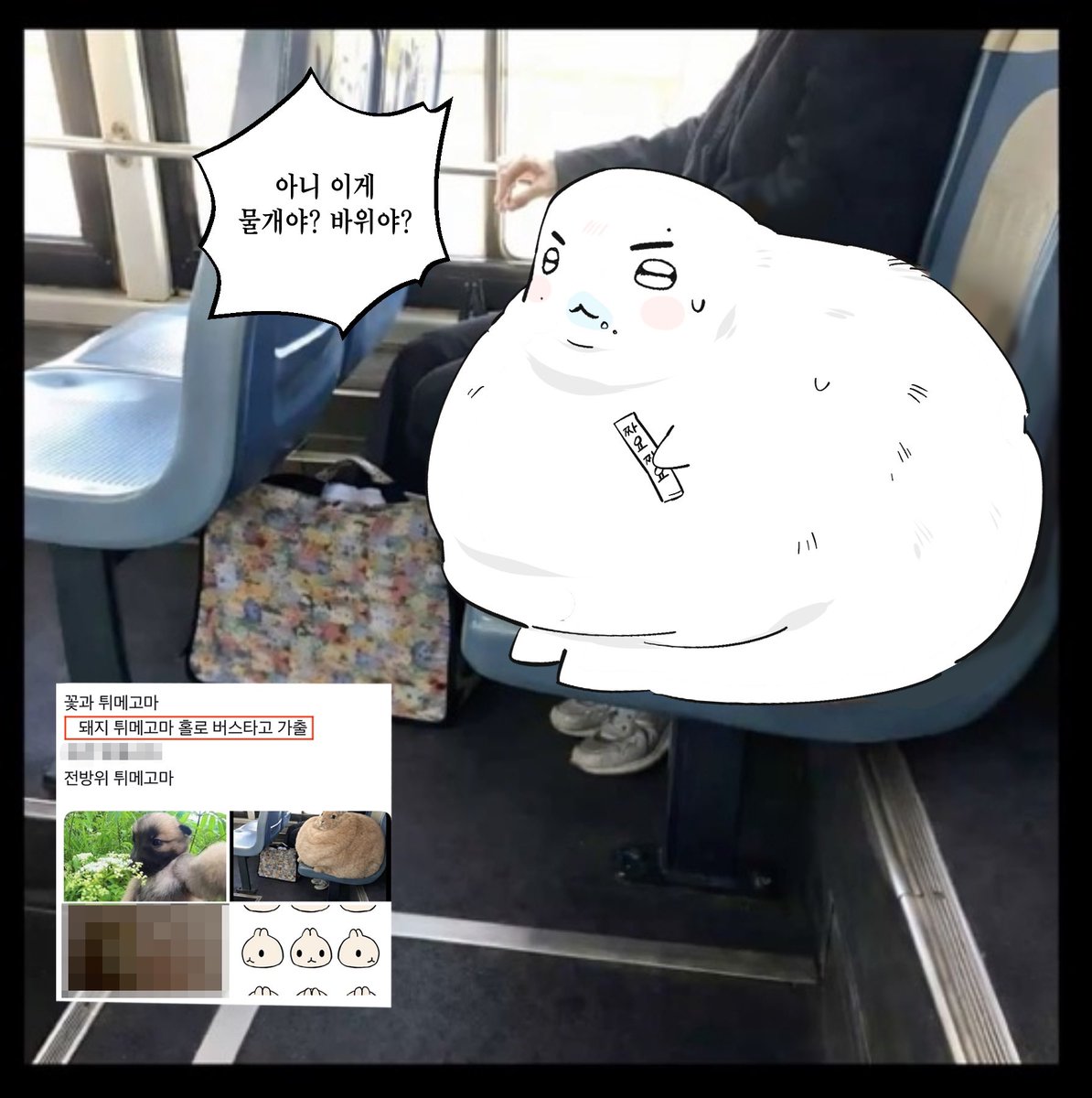 깨끗한나라 tweet media