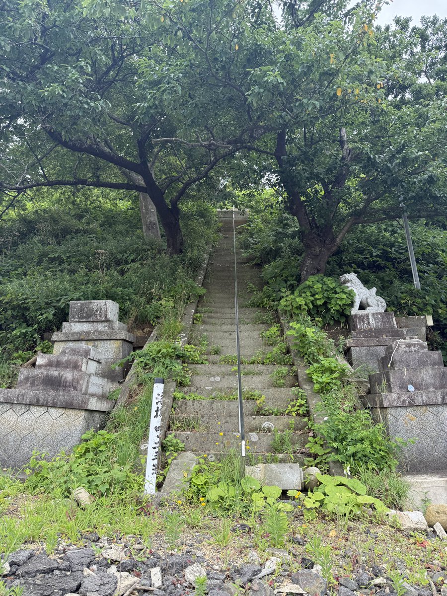 chanty_akuta's tweet photo. 昨日金沢のライブが終わったあと
富山に移動して本日は朝から能登に行く機会をもらいました。

沢山見て
沢山聞いて
沢山話して

自分なりに考えるきっかけをいっぱいいただいた

DUMMY KID翔太くん
@st_dummydr 
大塚育くん
@ikuotsuka

一日本当にありがとう

9月22日のback on live FES 2026 
能登半島災害復興支援イベント
@back_on_live 

今年も参加させていただけることに感謝です