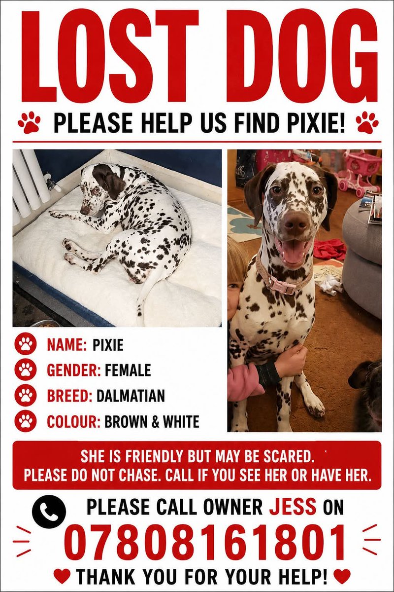 MissingPetsGB's tweet photo. Pixie is still missing☹️ please keep sharing and ring the number on the post if any sightings🤞🏼

PIXIE is a liver spotted #Dalmatian. She has been missing since early hours of 1 July 2026, around the West bilney/Pentney/Narborough area, west #Norfolk #PE32 #stolendoghour https://t.co/IzbjwgB2iO