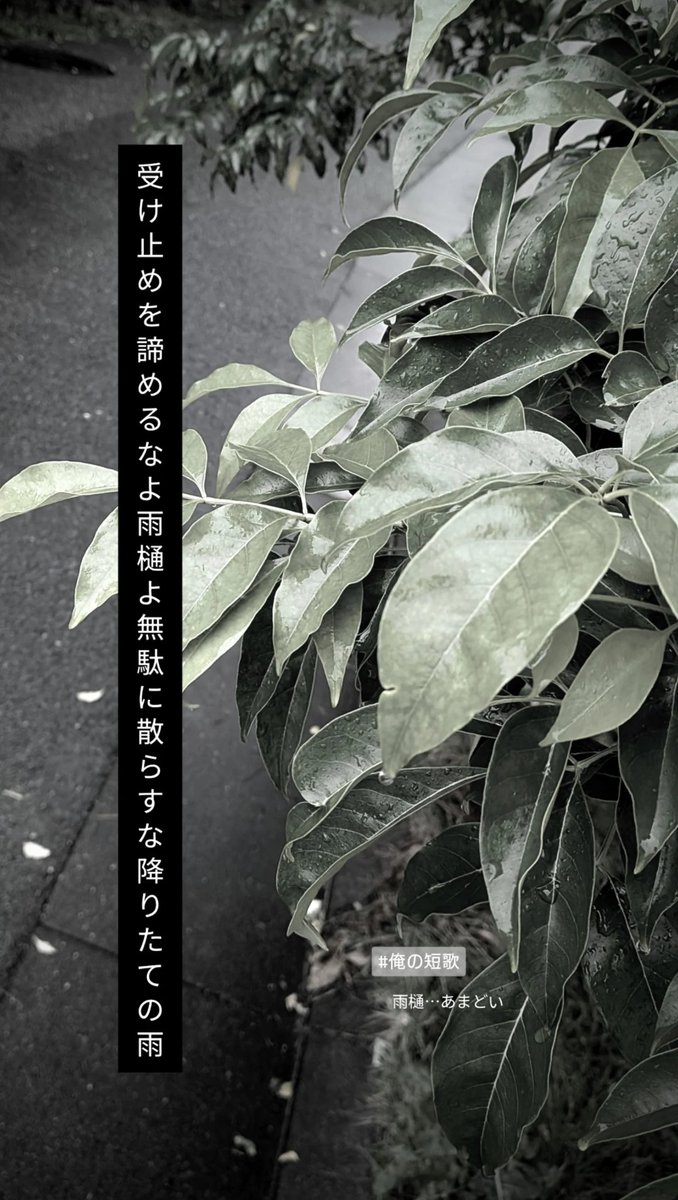 hirokuma_067's tweet photo. 俺の短歌　20260705 https://t.co/XCSyp4s2AA