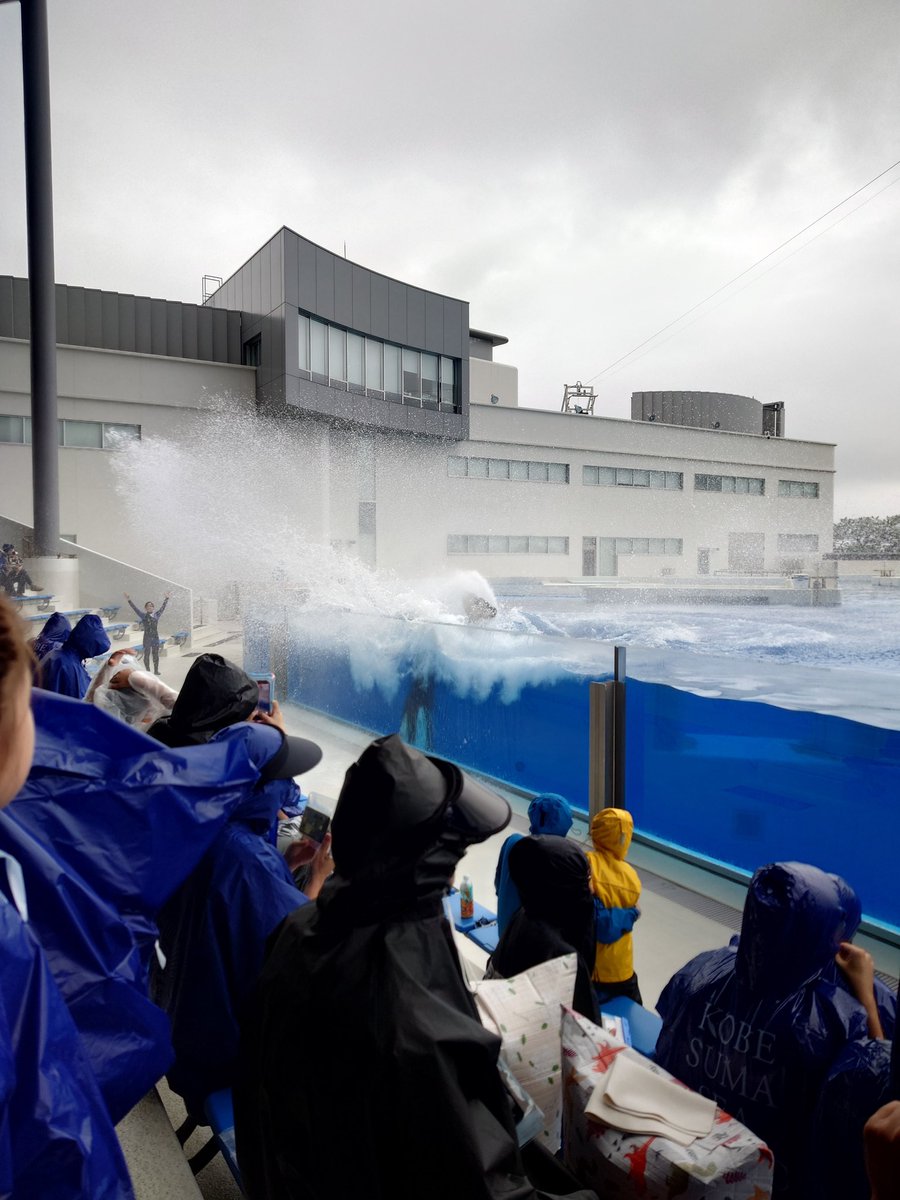 PositivePoy's tweet photo. シャチ🫍に滝行か思われるぐらい海水かけられカッパ貫通してビッショビショになり、
ペンギン🐧を操り（操られ？）、
いい休みやった！リフレッシュできたな〜

明日から仕事がんばるぞ～✊️ https://t.co/k1Zgtl94DG