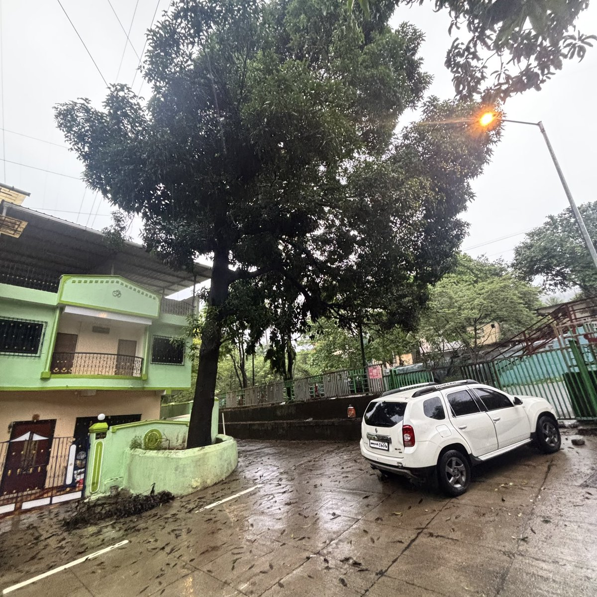 aqua_singh's tweet photo. @mybmc @mybmcWardT kindly check as both the trees are in slanting position and needs immediate attention before someone gets injured https://t.co/G2TNQlNptm