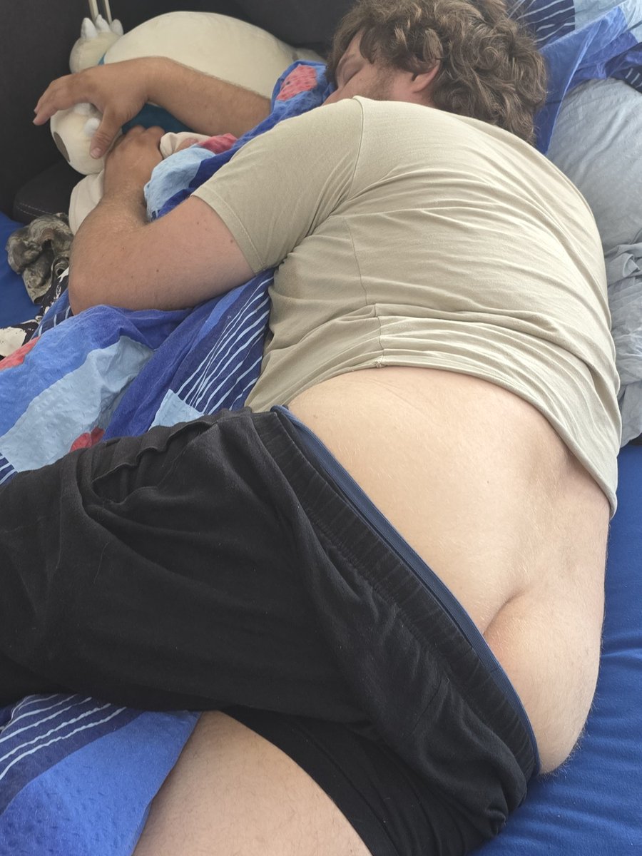 Snowthebear4's tweet photo. Sleepy... https://t.co/BAAZqIao0y