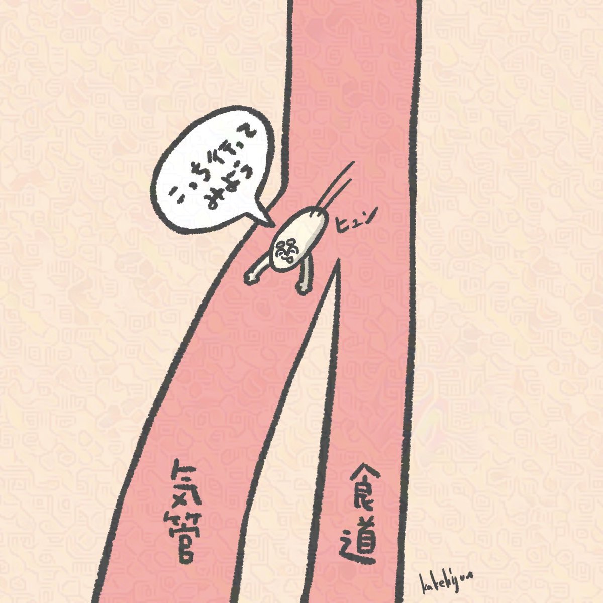 sigasodati's tweet photo. お米探検隊 https://t.co/R0KNvKRr4y