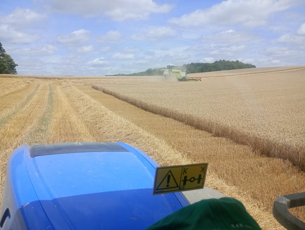 ClementDaunay's tweet photo. #Moisson2026 Et on attaque les 🌾 au sud de la #Somme. Un record absolu en termes de date pour démarrer une moisson ! @BONNIN1402 @GuyotVincent02 @OlivierCOSTE2 @terresinovia @noriapcoop https://t.co/M5EdbALFdO