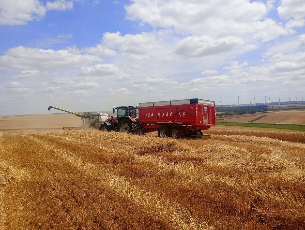 ClementDaunay's tweet photo. #Moisson2026 Et on attaque les 🌾 au sud de la #Somme. Un record absolu en termes de date pour démarrer une moisson ! @BONNIN1402 @GuyotVincent02 @OlivierCOSTE2 @terresinovia @noriapcoop https://t.co/M5EdbALFdO