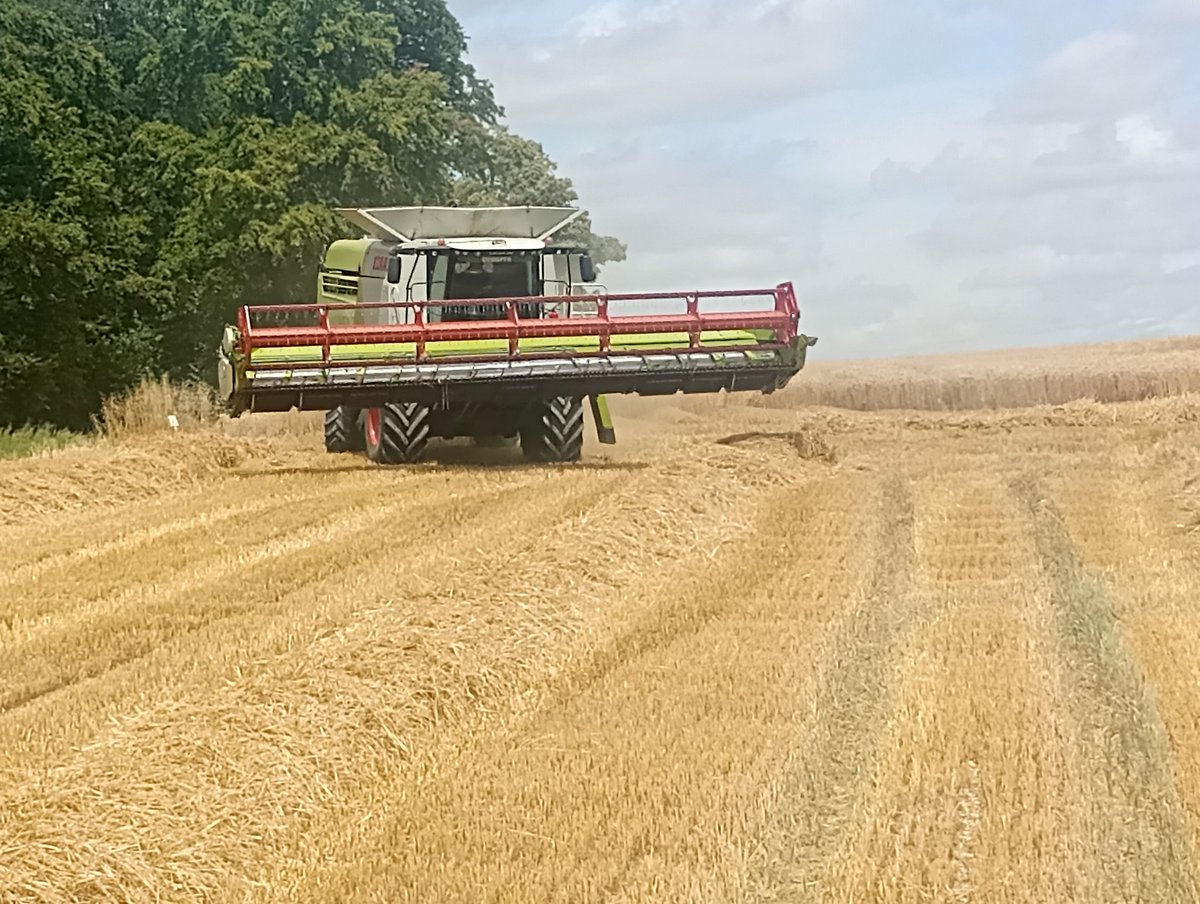 ClementDaunay's tweet photo. #Moisson2026 Et on attaque les 🌾 au sud de la #Somme. Un record absolu en termes de date pour démarrer une moisson ! @BONNIN1402 @GuyotVincent02 @OlivierCOSTE2 @terresinovia @noriapcoop https://t.co/M5EdbALFdO