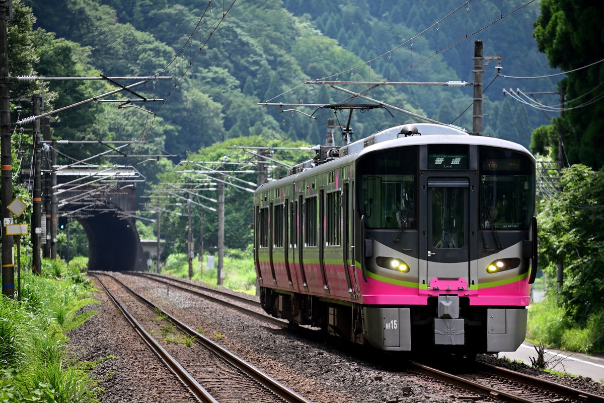 N_frs's tweet photo. Zfにマウントアダプター使ってXF55-200mmF3.5-4.8 R LM OISで撮影してきた https://t.co/pzdPFBkaEp