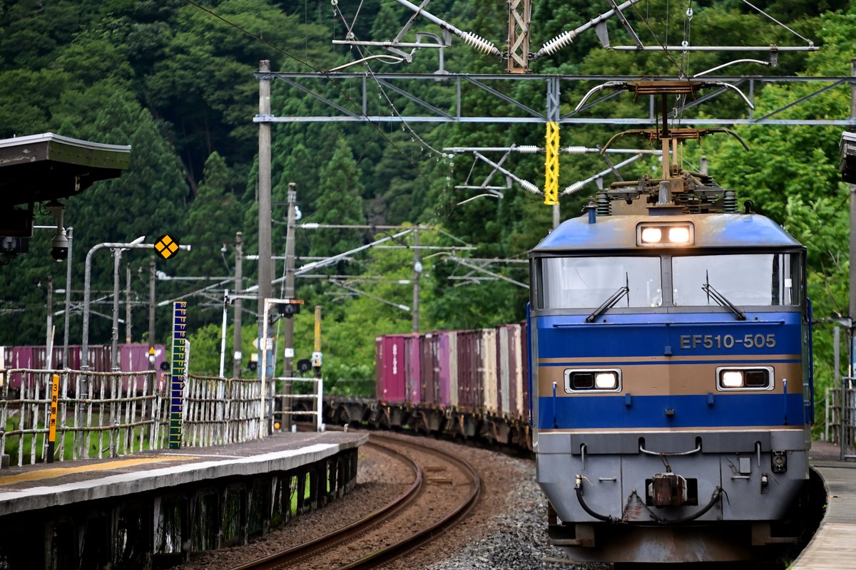 N_frs's tweet photo. Zfにマウントアダプター使ってXF55-200mmF3.5-4.8 R LM OISで撮影してきた https://t.co/pzdPFBkaEp
