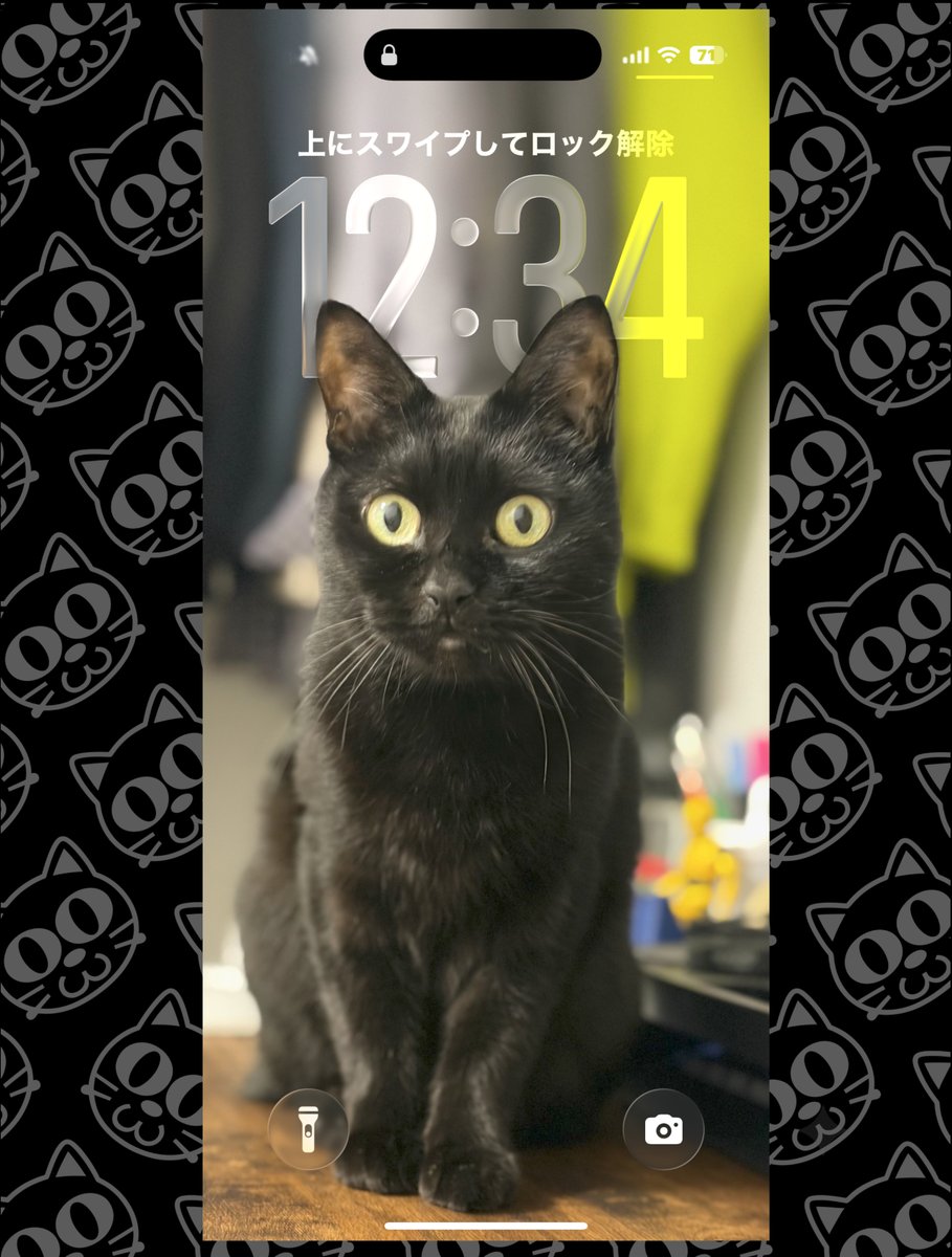 スマホ待ち受け」 #おはぎ ＃黒猫 #猫好きさんと繋がりたい