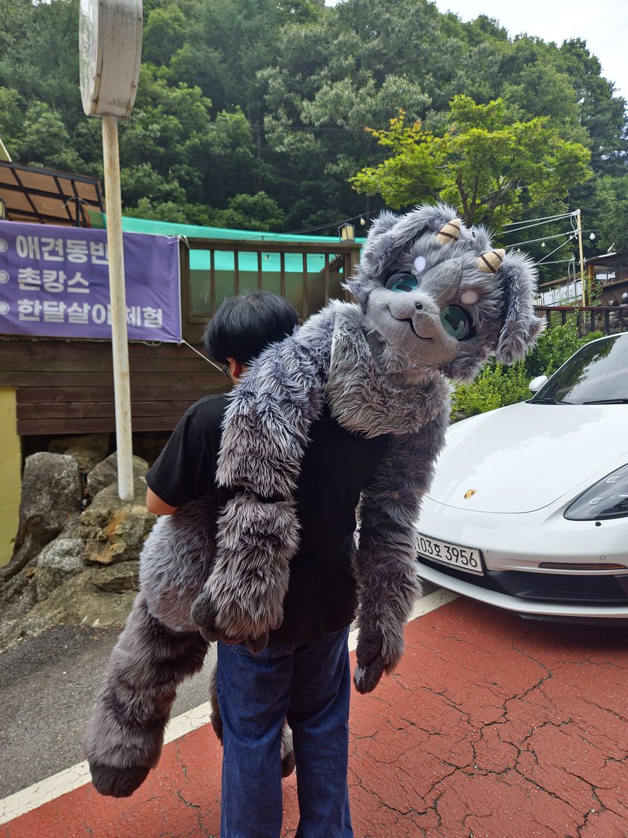 mi_cs1200's tweet photo. #FursuitEveryday #fursuit

펜션팟에서 많은 사람들이 날 들었어 https://t.co/FCP4loysH4